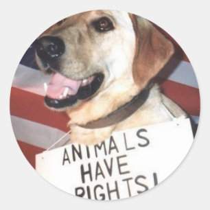Adesivo Redondo Os animais têm direitos