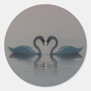 Adesivo Redondo Os Cisnes Azuis Devem Ser Apaixonados