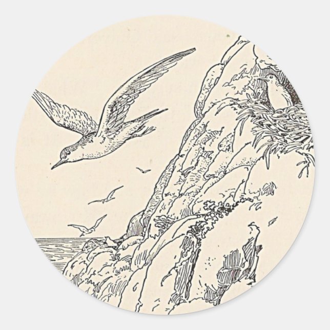 Adesivo Redondo Os Gaivotas Marítimos (Frente)