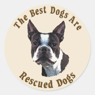 Adesivo Redondo Os melhores cães são resgatados - Boston Terrier