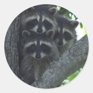 Adesivo Redondo Os três amigo