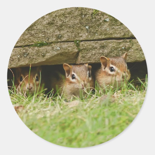 Adesivo Redondo os três amigos (Frente)