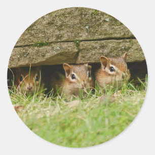 Adesivo Redondo os três amigos