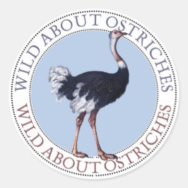 Adesivo Redondo Ostrich Stickers
