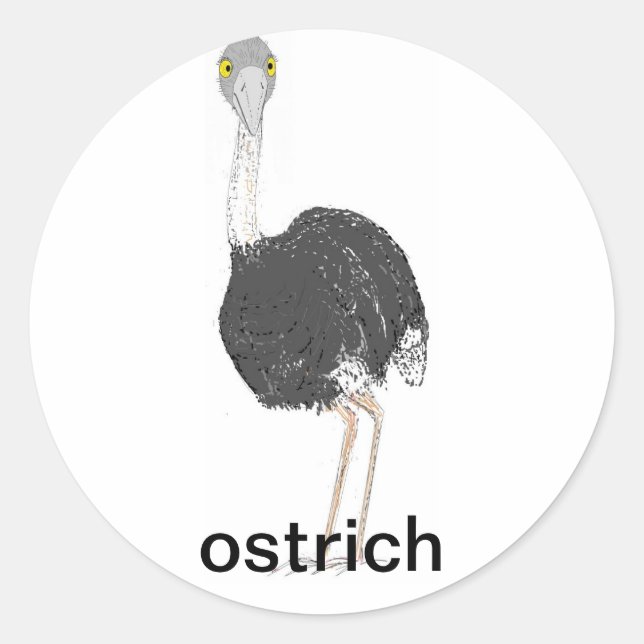 Adesivo Redondo Ostrich Stickers (Frente)