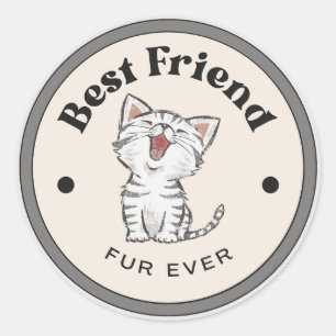 Adesivo Redondo ÓTIMO! Stickers - Pele de Melhor Amigo - Gatinho