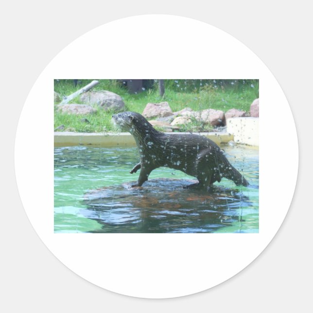 Adesivo Redondo Otter (Frente)
