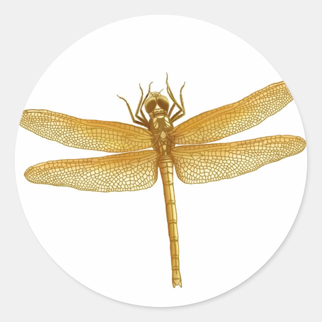 Adesivo Redondo Ouro Dragonfly Sticker (Frente)