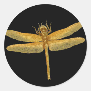 Adesivo Redondo Ouro Dragonfly Sticker