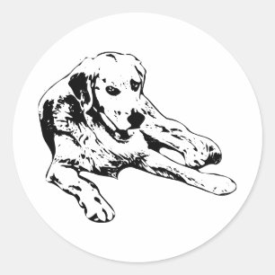 Adesivo Redondo Ouro em Linhas Simples