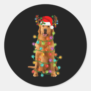 Adesivo Redondo Ouro Retriever Árvore de Natal Luz Pajama