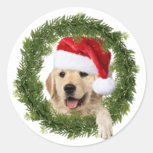 Adesivo Redondo Ouro Retriever Fia de Natal