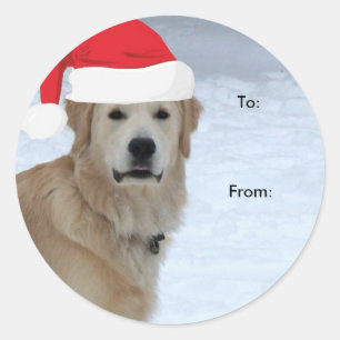 Adesivo Redondo Ouro Retriever Para/De Vinhetas De Natal