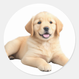 Adesivo Redondo Ouro Retriever Puppy