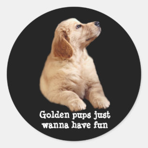 Adesivo Redondo Ouro Retriever Puppy Sticker