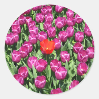 Adesivo Redondo Ousaria ser diferente