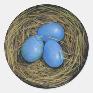 ADESIVO REDONDO OVOS DO PÁSSARO NO NINHO: ARTE DO REALISMO: