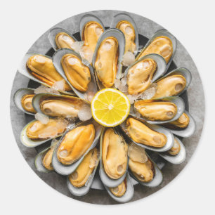 Adesivo Redondo Oyster Púltimo