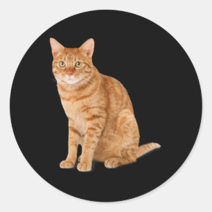 Adesivo Redondo Pá Laranja Gato Engraçado Gato Parody Gift Kit