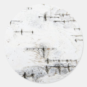 Adesivo Redondo Padrão de latido de aves