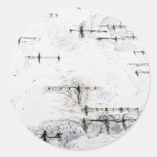 Adesivo Redondo Padrão de latido de aves (Frente)