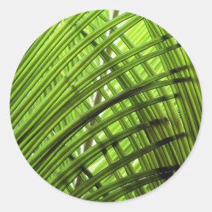 Adesivo Redondo Padrão tropical