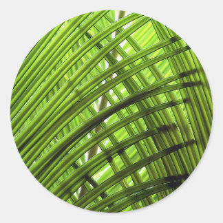 Adesivo Redondo Padrão tropical