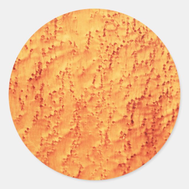 Adesivo Redondo Padrões de madeira de carapaça de aves Elegante (Frente)