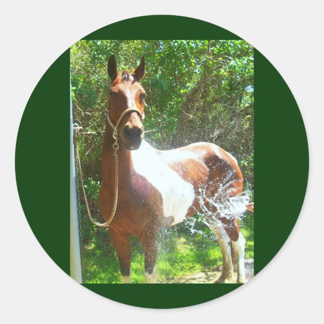 Adesivo Redondo Paint Bath (Frente)