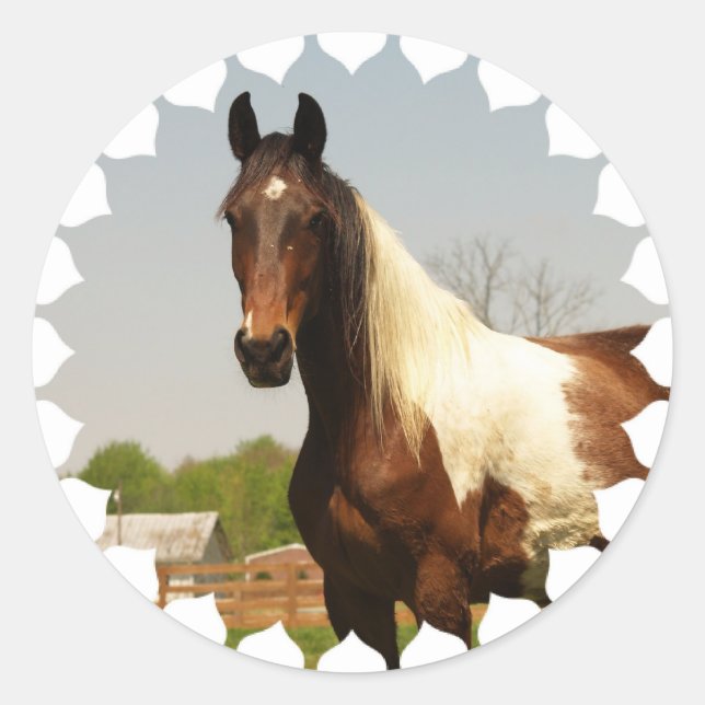Adesivo Redondo Paint Horse Stickers (Frente)
