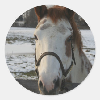 Adesivo Redondo Paint Sticker