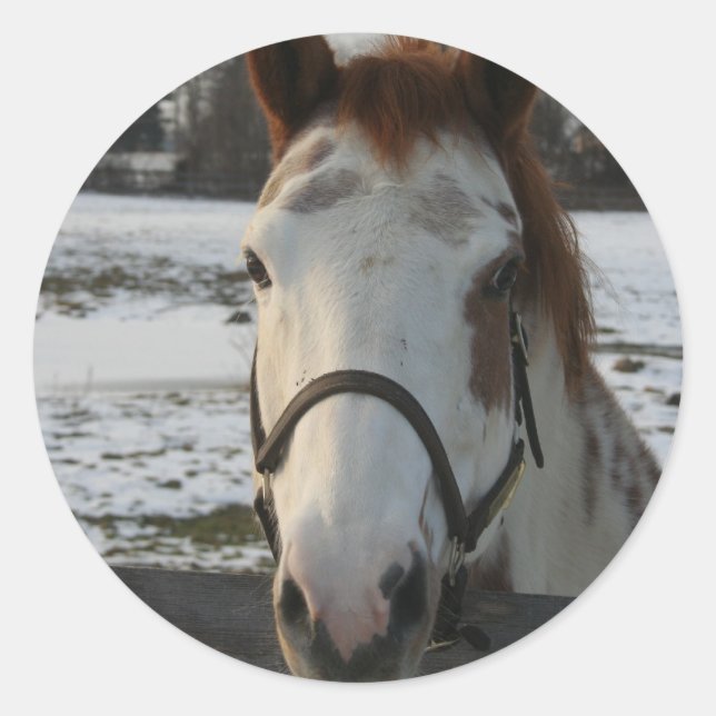 Adesivo Redondo Paint Sticker (Frente)