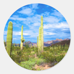 Adesivo Redondo Paisagem de cacto do deserto, Arizona