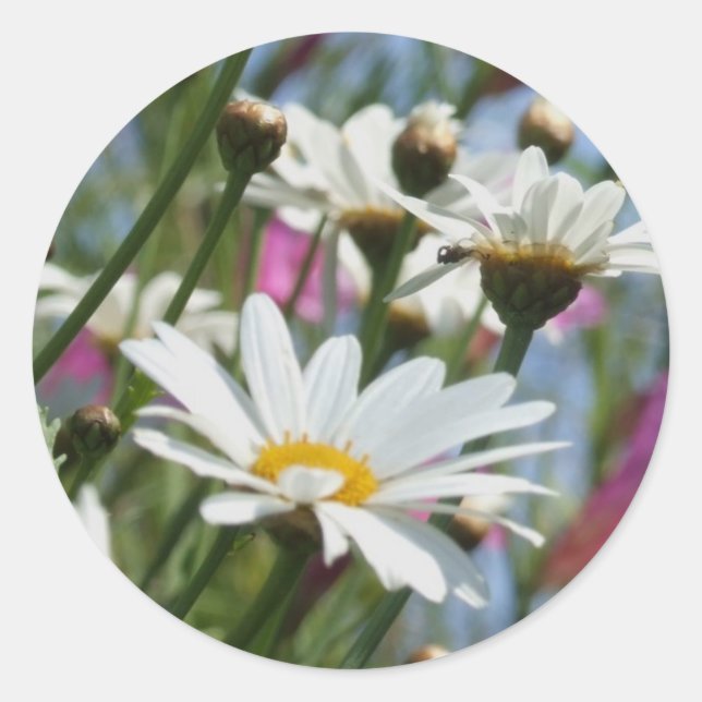 Adesivo Redondo Palhetas de Flores de Mola (Frente)