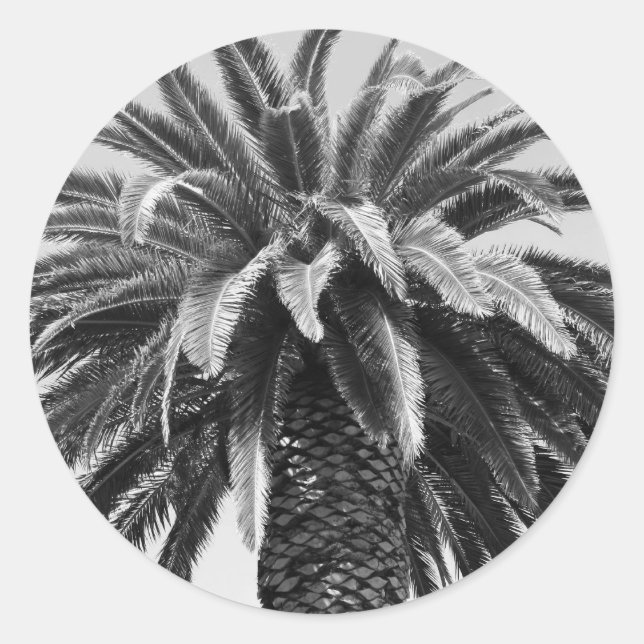 Adesivo Redondo Palm Tree Sticker (Frente)