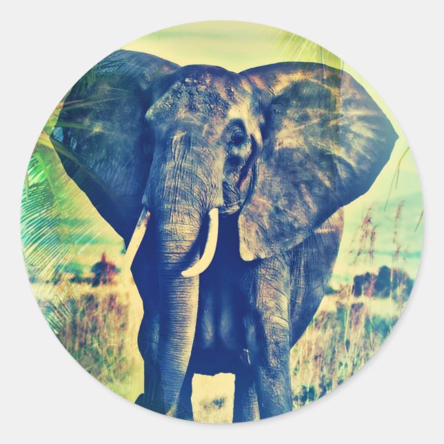 Adesivo Redondo Palmas de elefante (Frente)