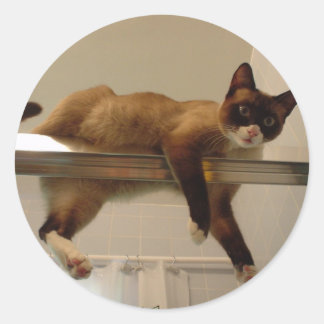 Adesivo Redondo Pancake Sticker