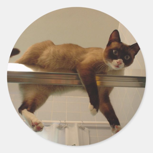 Adesivo Redondo Pancake Sticker (Frente)