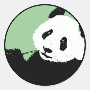Adesivo Redondo panda. círculo seagreen