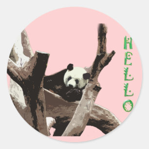 Adesivo Redondo Panda gigante em uma fotografia de zoológico de an
