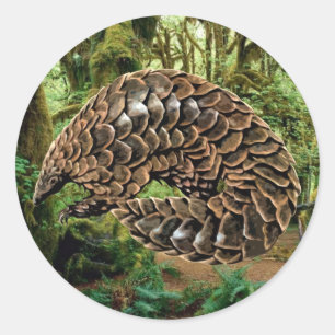 Adesivo Redondo Pangolin Sticker