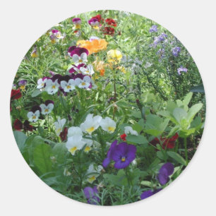 Adesivo Redondo Pansies
