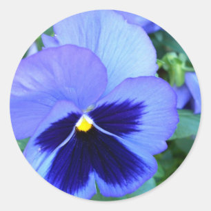 Adesivo Redondo Pansies - arte floral fotográfica de CricketDiane