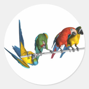 Adesivo Redondo Papagaio do Macaw