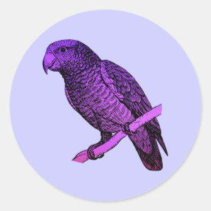 Adesivo Redondo Papagaio roxo