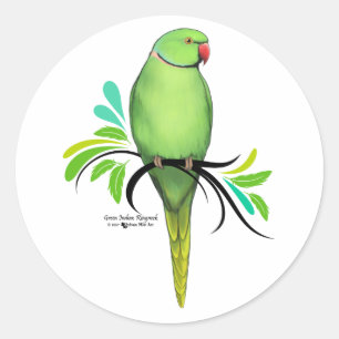 Adesivo Redondo Papagaio verde de Ringneck do indiano