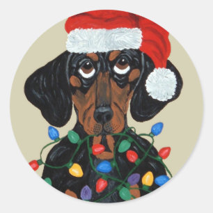 Adesivo Redondo Papai noel do Dachshund Tangled em luzes de Natal