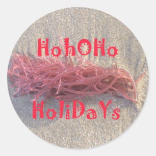 Adesivo Redondo Papais noeis HoHo Feliz Natal das cores da praia