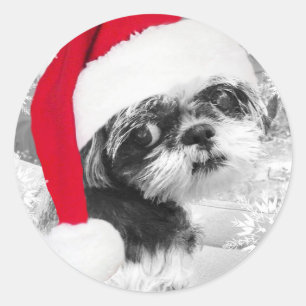 Adesivo Redondo Papais noeis Shih Tzu Girl Stickers