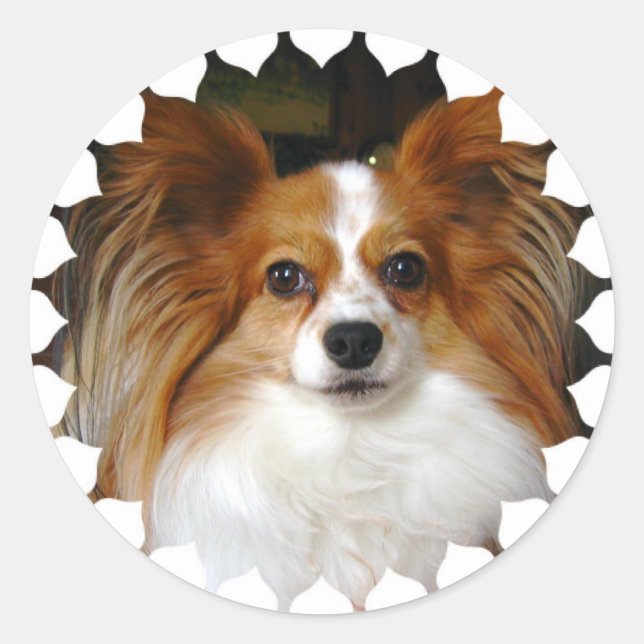 Adesivo Redondo Papillon Stickers (Frente)